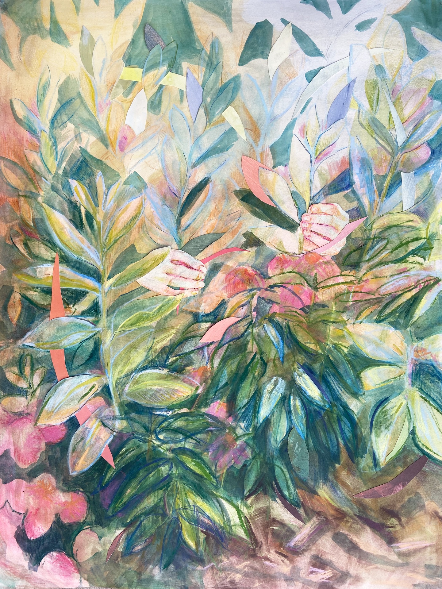 Spotlight on Neva Sills