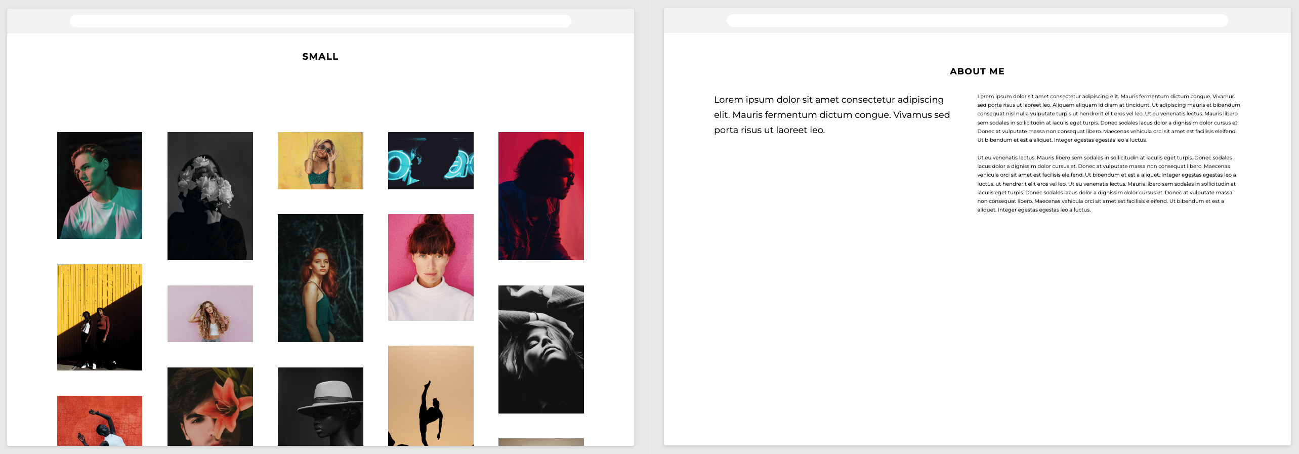 Portfoliobox Template settings - Small