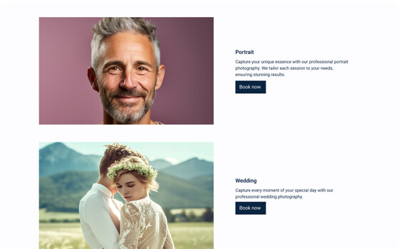 ポートフォリオボックスのための鮮やかなサービステンプレート