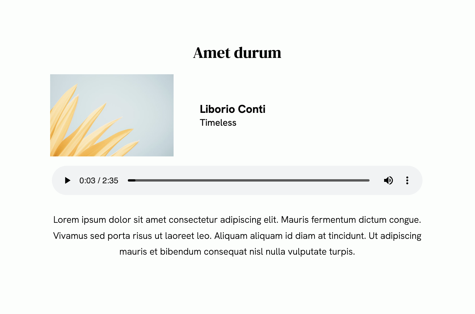 Soundtrack templates for your Portfoliobox website